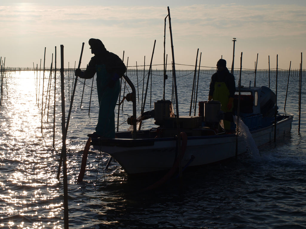 のりの旬:新のりって?